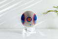 Load image into Gallery viewer, MLB® CUBS™ GLOBE (Region Limit)