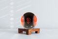 Load image into Gallery viewer, MLB® GIANTS™ GLOBE (Region Limit)