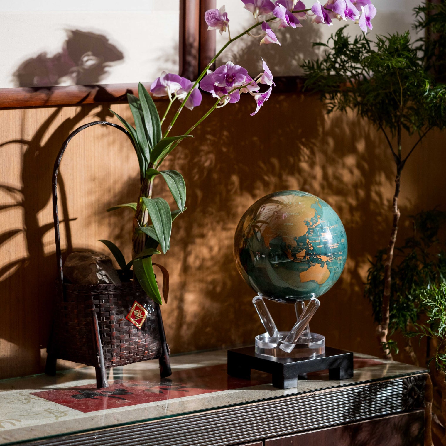 MOVA Globe Australia 2025: Complete Review & Buying Guide