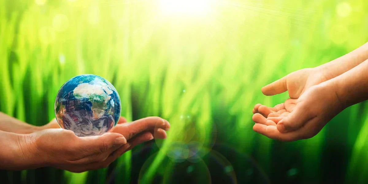 How to Embrace an Eco-Friendly Lifestyle – movaglobes.store