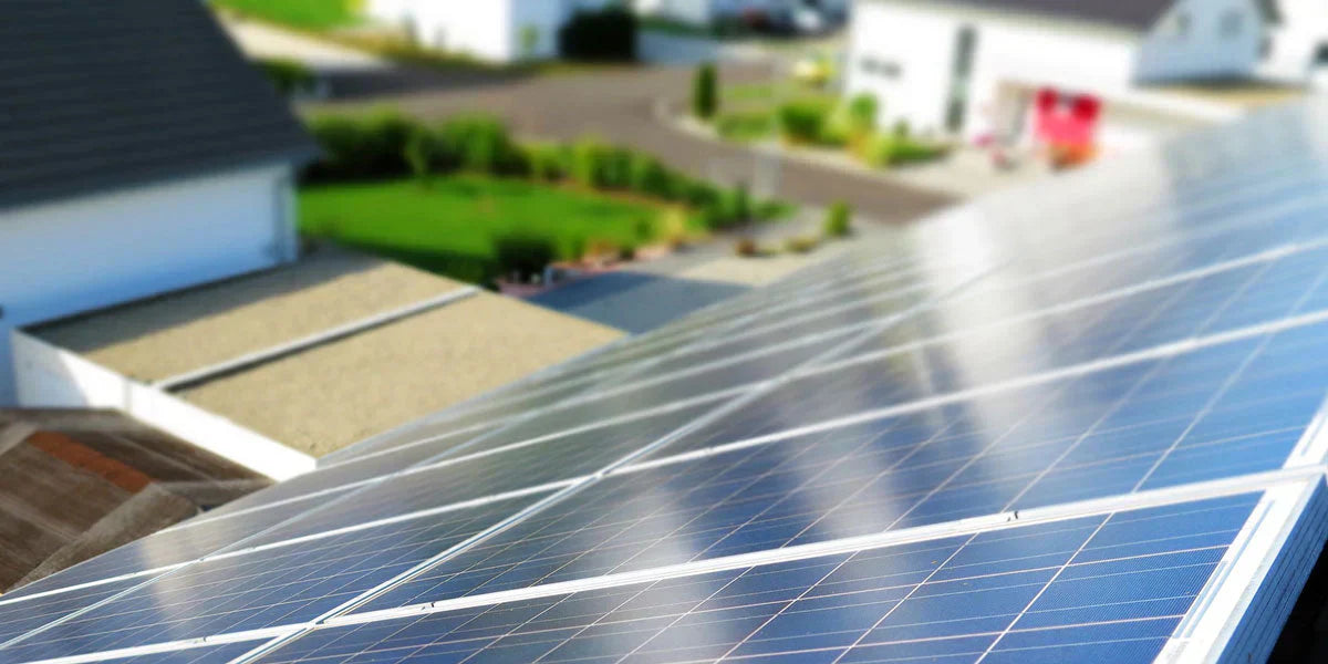 Eco-Friendly Ideas for Homeowners: Simple Changes with Big Impact