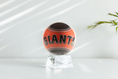 Load image into Gallery viewer, MLB® GIANTS™ GLOBE  (Region Limit)
