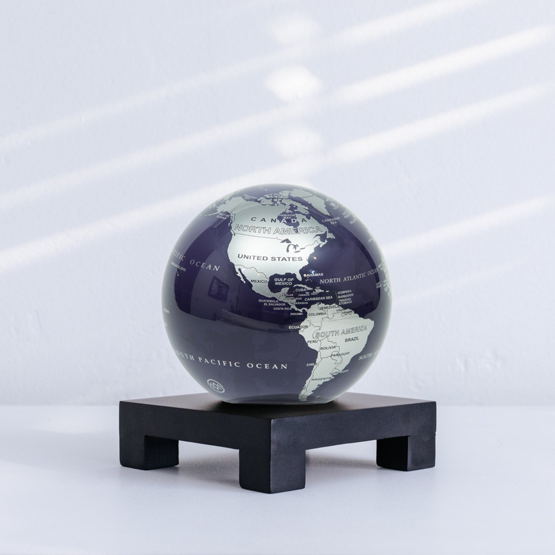 PURPLE AND SILVER GLOBE