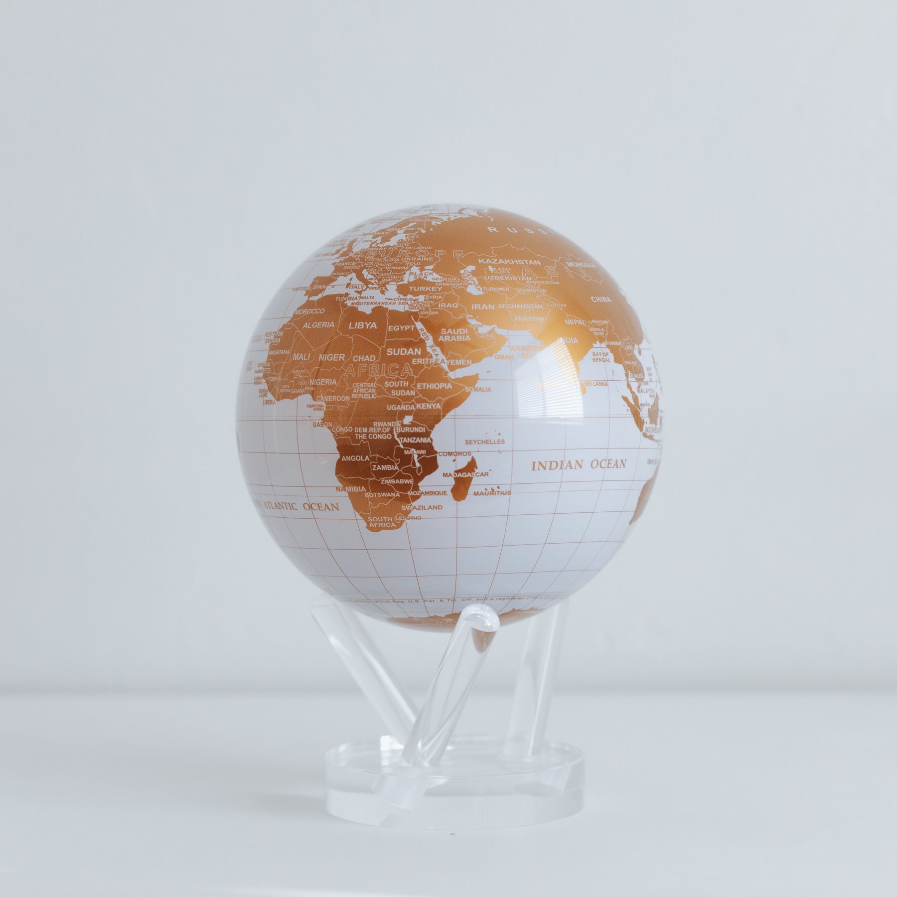 WHITE AND GOLD GLOBE