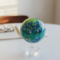 将图像加载到图库查看器中， VAN GOGH IRISES GLOBE - movaglobes.store
