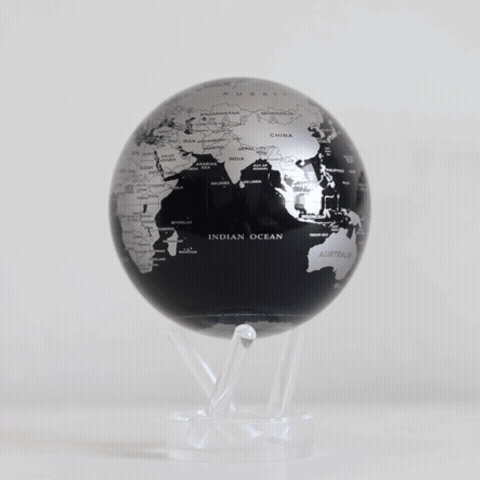 BLACK AND SILVER GLOBE