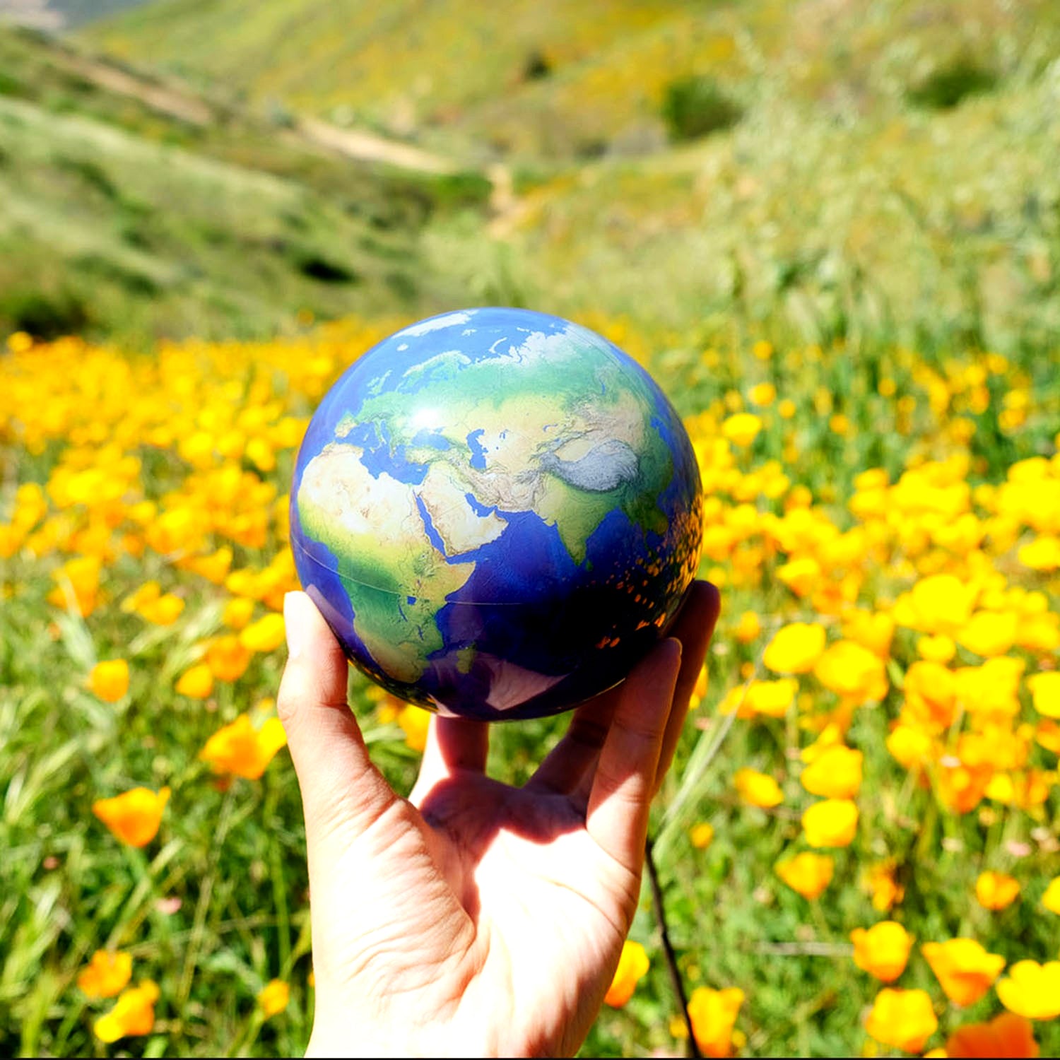 EARTH GLOBE