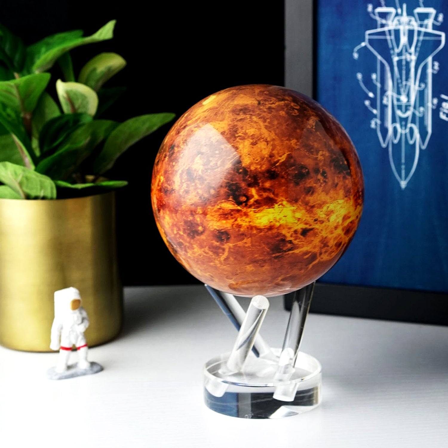 VENUS GLOBE